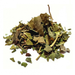 Liść morwy białej 500g