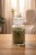 Gemini_Generated_Image_j3o6t7j3o6t7j3o6.jpg