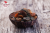 morele-suszone-naturalne-500g